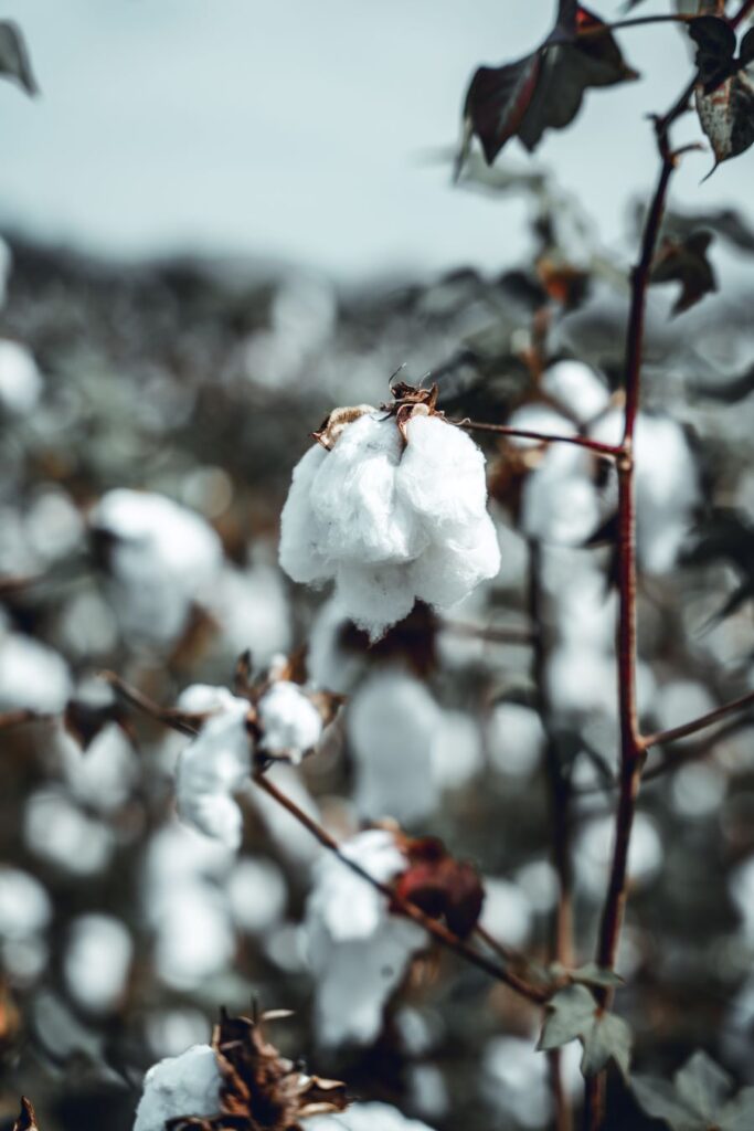 Raw Cotton and Fibers polyester viscose linen hemp wool